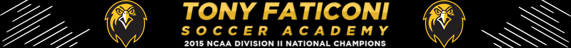 Tony Faticoni Soccer Academy